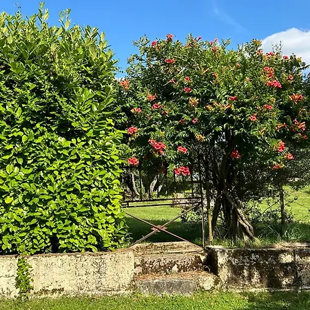 Апартаменты En Dame With Pool