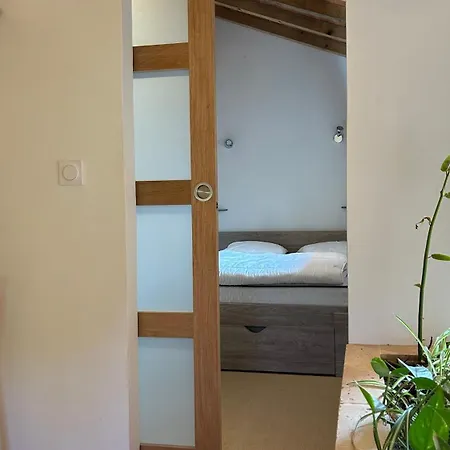 En Dame With Pool * Crastes