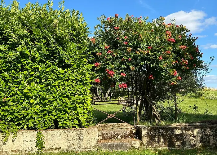 アパート En Dame With Pool