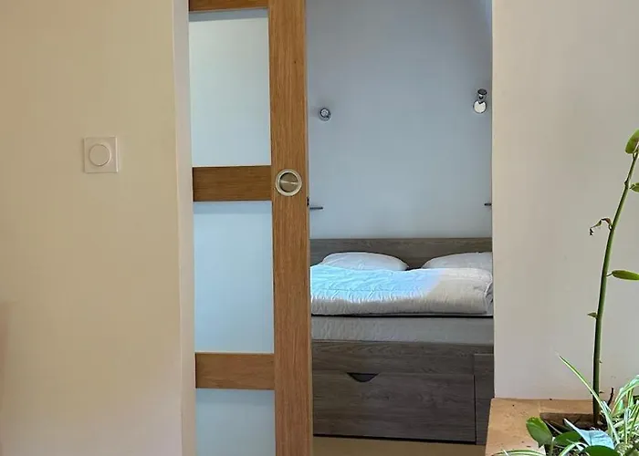 En Dame With Pool * Crastes