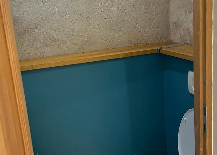 En Dame With Pool アパート Crastes